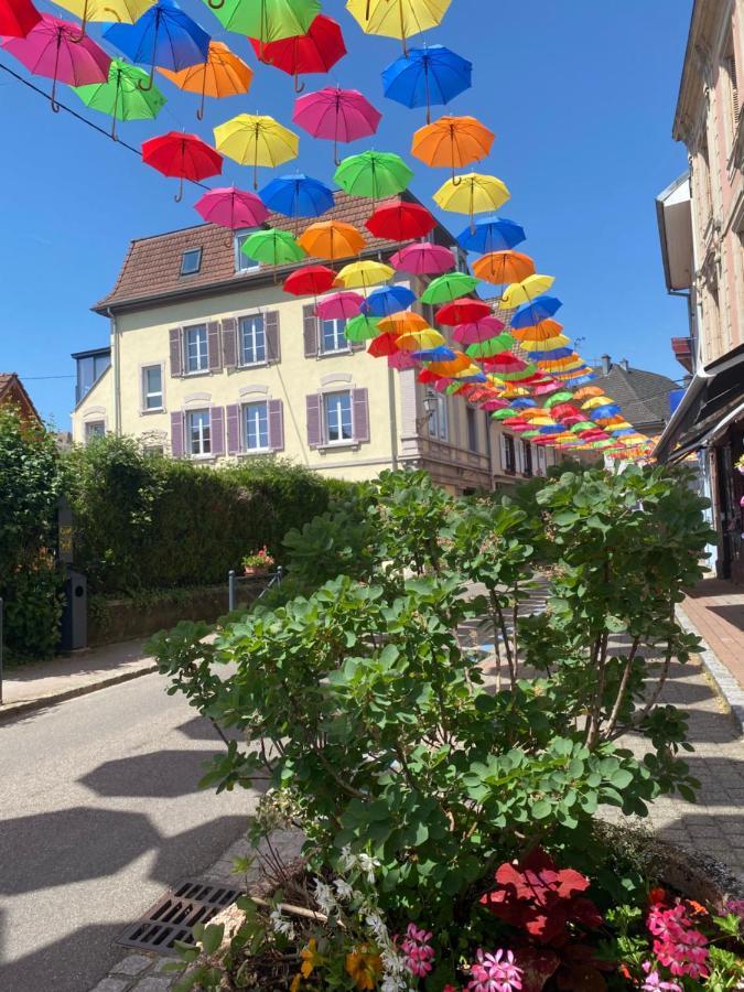 Ferienwohnung Meubles De La Doller, Les Canards Masevaux-Niederbruck Exterior foto